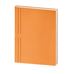 AGENDA PORTAFOGLIO 15X21 INT. S/D ABBINATI
