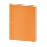 AGENDA PORTAFOGLIO 15X21 INT. S/D ABBINATI