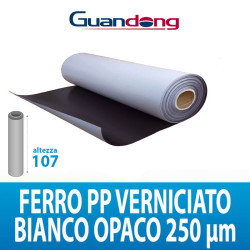 FERRITE VARNISH PP BIANCA...