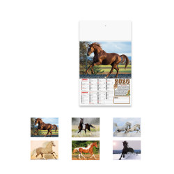 CALENDARIO CAVALLI 12 FG