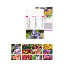 CALENDARIO FLOREALE 12 FG