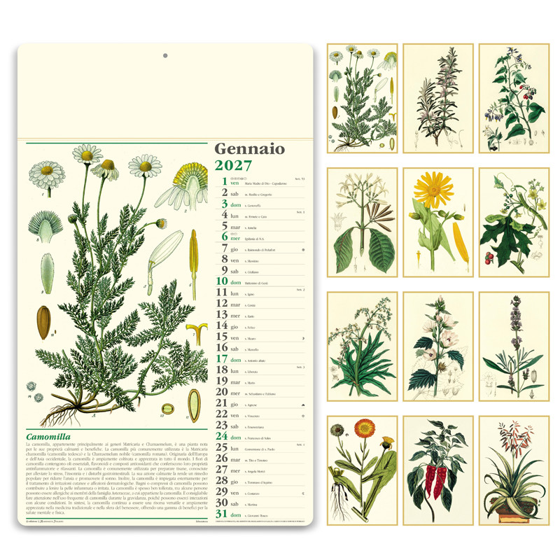 CALENDARIO ANTICHIZZATO ERBORISTERIA 12 FG