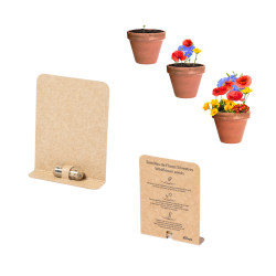 CAPSULA SEMI DI DI FIORI...