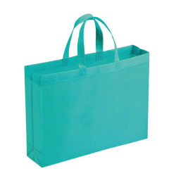 BORSA SHOPPING IN TNT 42X32X10