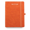 AGENDA GIORNALIERA SCALETTATA 15X21