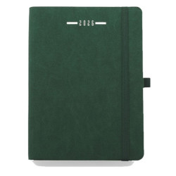 AGENDA GIORNALIERA SCALETTATA 11X17