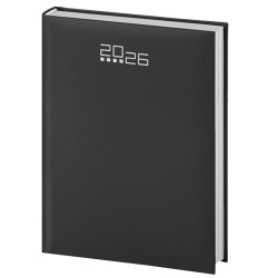 AGENDA MAXI GIORNALIERA GOMMATO 17X24 S/D ABBINATI
