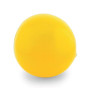 PALLONE GONFIABILE IN PVC