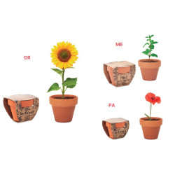 VASO IN TERRACOTTA CON SEMI...