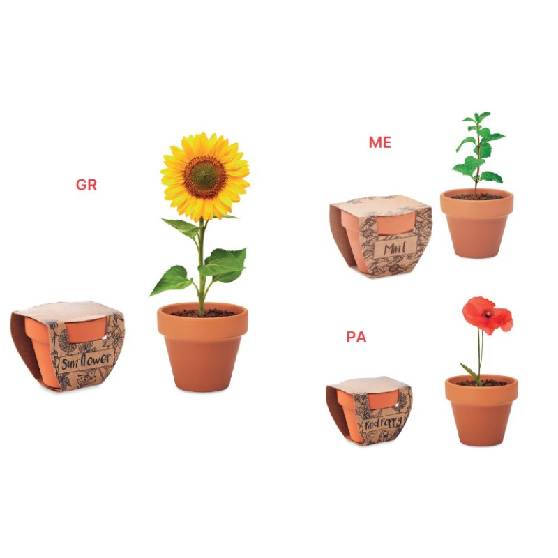 VASO IN TERRACOTTA CON SEMI E TAVOLOZZA TERRICCIO