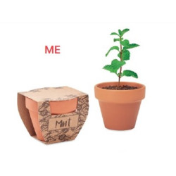 VASO IN TERRACOTTA CON SEMI E TAVOLOZZA TERRICCIO