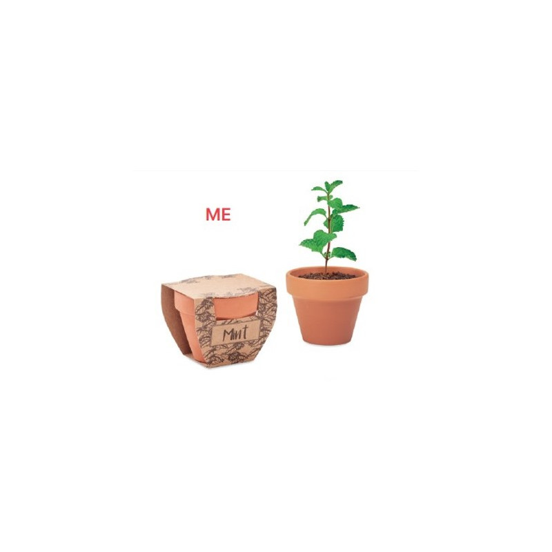 VASO IN TERRACOTTA CON SEMI E TAVOLOZZA TERRICCIO