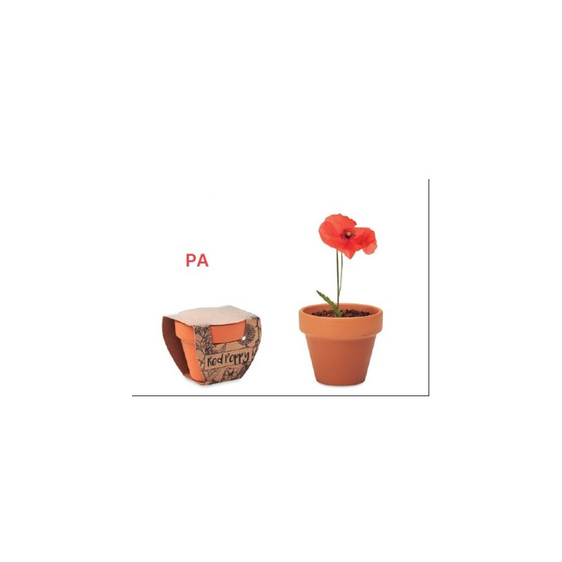VASO IN TERRACOTTA CON SEMI E TAVOLOZZA TERRICCIO
