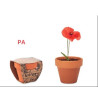 VASO IN TERRACOTTA CON SEMI E TAVOLOZZA TERRICCIO