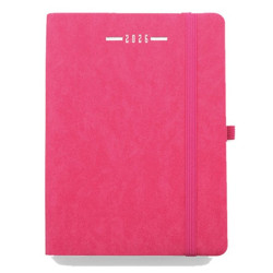 AGENDA GIORNALIERA SCALETTATA 11X17