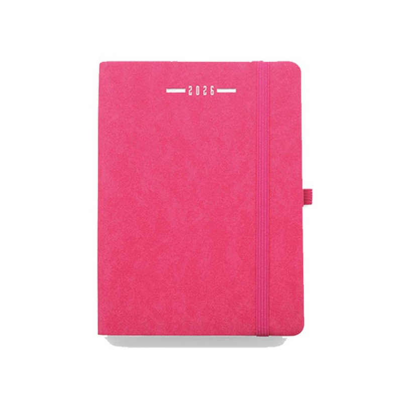 AGENDA GIORNALIERA SCALETTATA 11X17