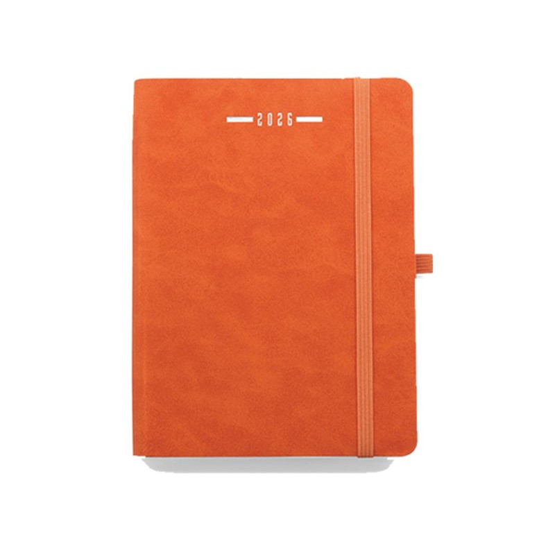 AGENDA GIORNALIERA SCALETTATA 11X17