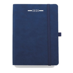 AGENDA GIORNALIERA SCALETTATA 11X17