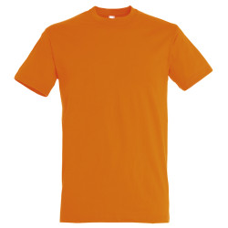 T-SHIRT TITAN COLORATA UNISEX G/COLLO M/CORTA SOL'S