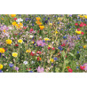 Disco con mix di semi di fiori