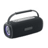 2x10 Speaker impermeabile