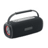 2x10 Speaker impermeabile