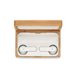 Auricolari TWS in custodia di b