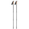 Bastoncini da nordic walking