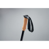 Bastoncini da nordic walking