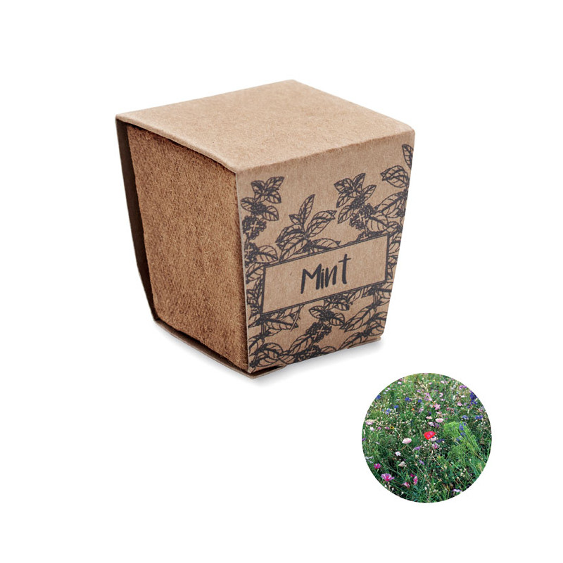 Kit per la coltivazione di semi