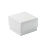 Premio cubo in vetro