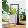 Giardino interno con luce LED