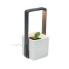 Giardino interno con luce LED