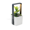 Giardino interno con luce LED