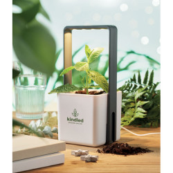 Giardino interno con luce LED