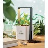 Giardino interno con luce LED