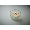 Candela in cera vegetale 600gr