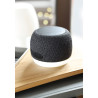 Speaker e caricatore wireless