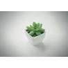 Mini pianta artificiale