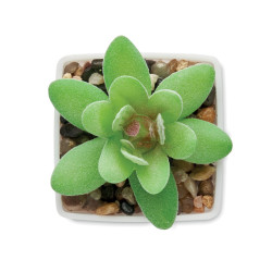 Mini pianta artificiale