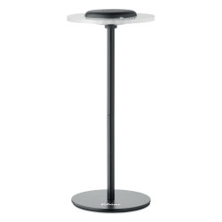 Lampada da tavolo in ferro