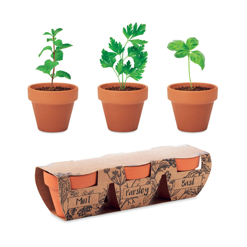Set di erbe in terracotta