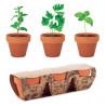 Set di erbe in terracotta