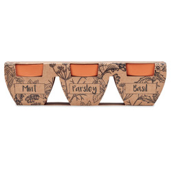 Set di erbe in terracotta