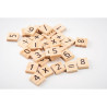 Gioco educativo in legno