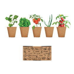 Kit per coltivare insalata