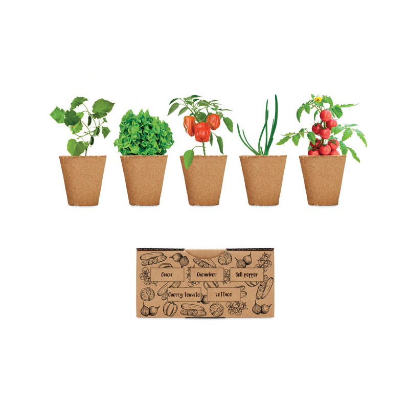 Kit per coltivare insalata