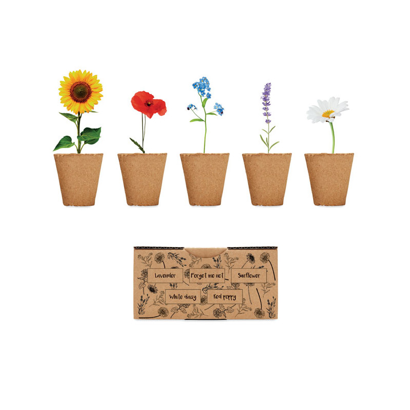 Kit per coltivare fiori