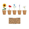 Kit per coltivare fiori