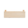 Kit per coltivare fragole